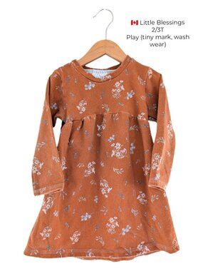 Little Blessings Floral Dress 2T 3T Girls Clothing Small Shop
